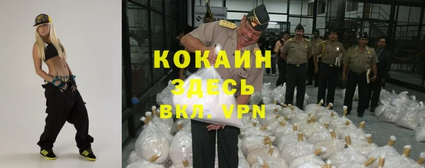 прущие грибы Белоозёрский